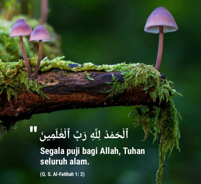 DlMc6TwUYAItlut.jpg_large