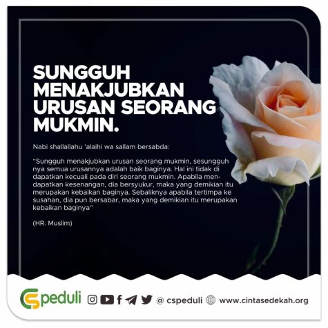 IMG_20230605_195408_473