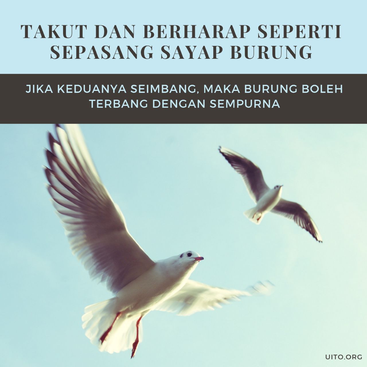 IMG_20221001_185125_839