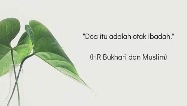 IMG_20230526_113220_854